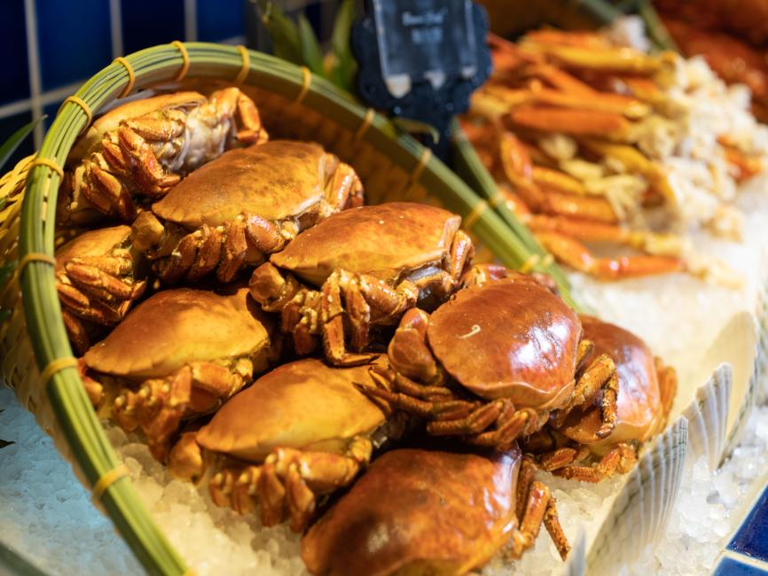 自助山 (香港) The Grand Buffet (Hong Kong)｜自助午餐、自助晚餐｜360°旋轉餐廳